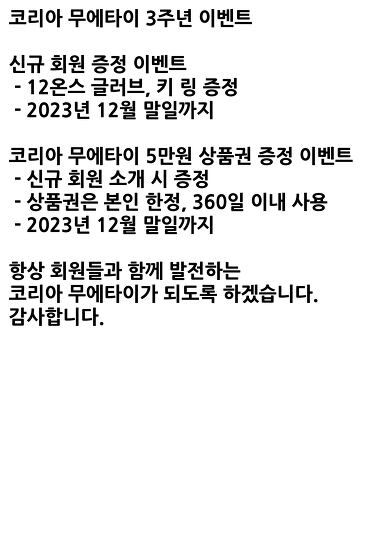 코리아 무에타이_2