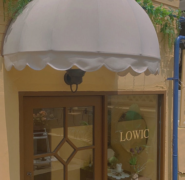 Lowic_2