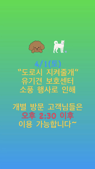 멍냥멍냥_3