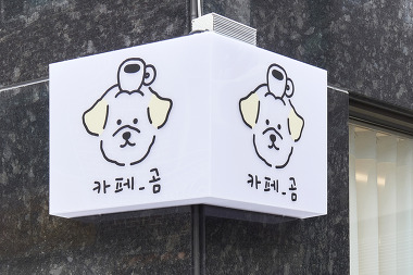 카페_곰_1