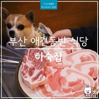 하숙집 벡스코 센텀점_3