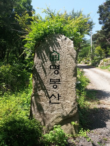 명봉산솔밭관광농원오토캠핑장_3