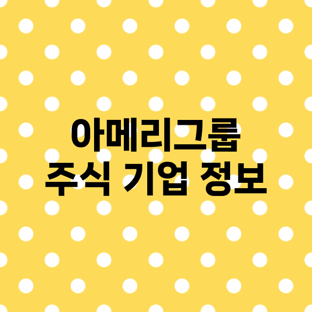 아메리그룹 기업 총정리