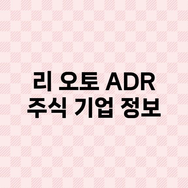 리 오토 ADR 주…