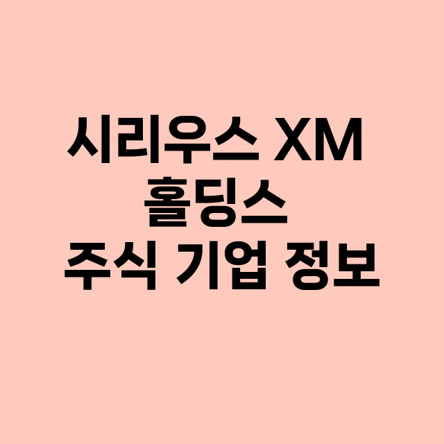 시리우스 XM 홀딩…