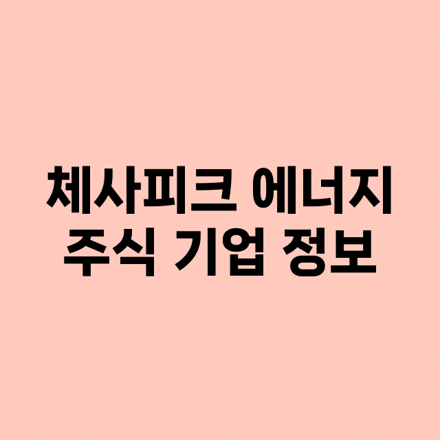 체사피크 에너지 주…