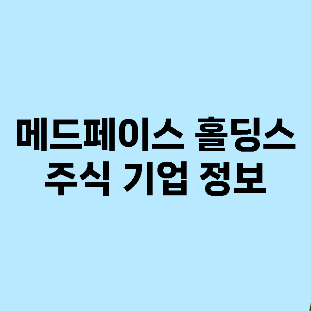 메드페이스 홀딩스 기업 총정리