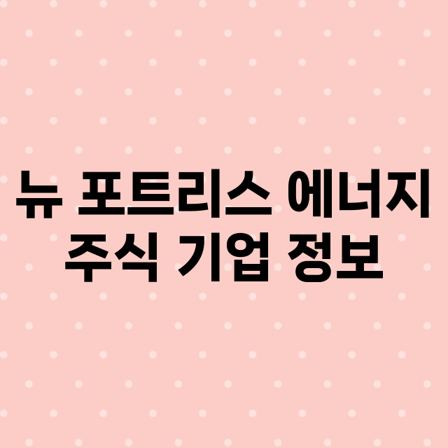 뉴 포트리스 에너지…