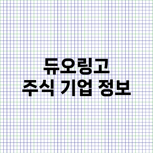 듀오링고 기업 총정리