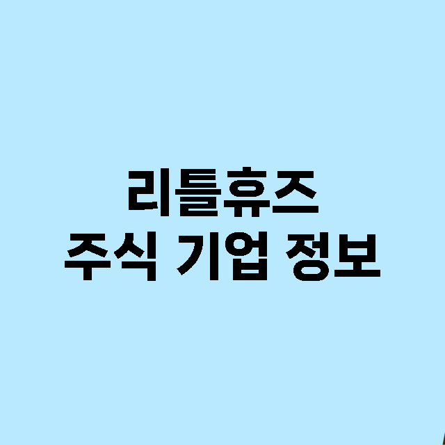 리틀휴즈 기업 총정리