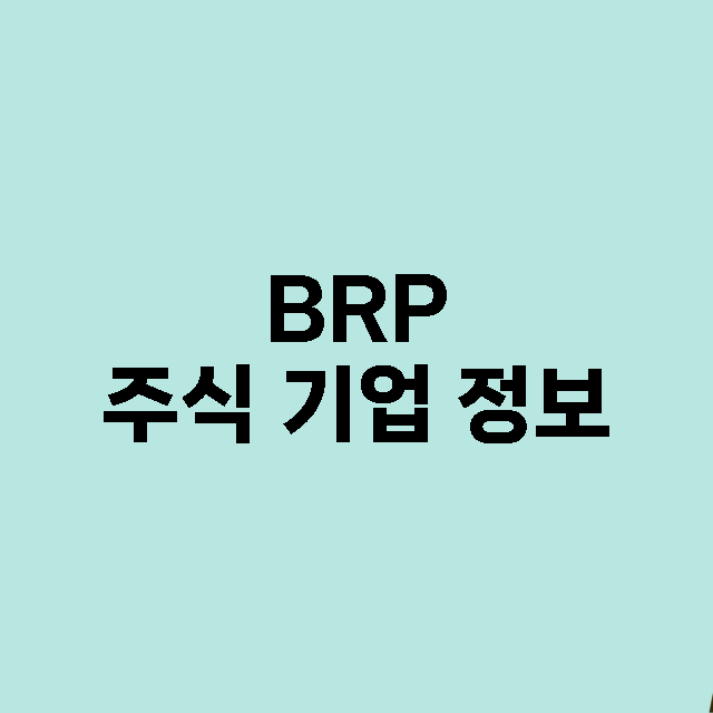 BRP 기업 총정리