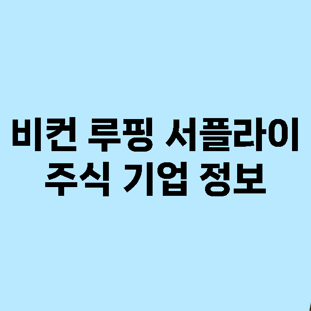 비컨 루핑 서플라이 기업 총정리