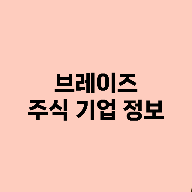 브레이즈 주식 기업…