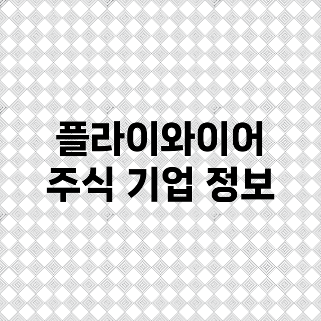 플라이와이어 기업 총정리