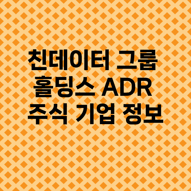 친데이터 그룹 홀딩스 ADR 기업 총정리