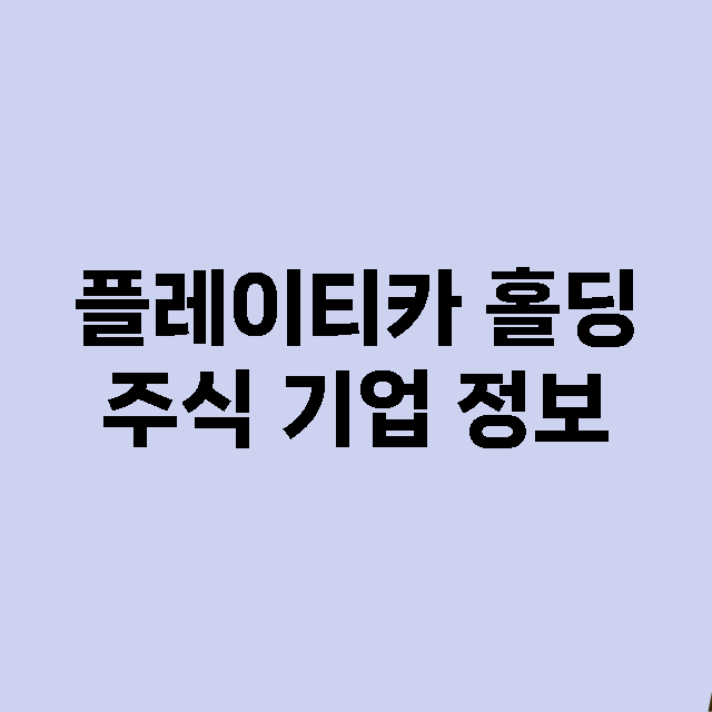 플레이티카 홀딩 기업 총정리