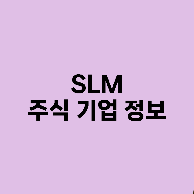 SLM 기업 총정리