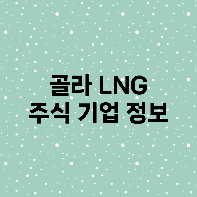 골라 LNG 주식 …