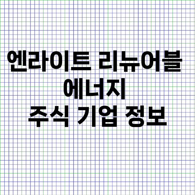 엔라이트 리뉴어블 에너지 기업 총정리