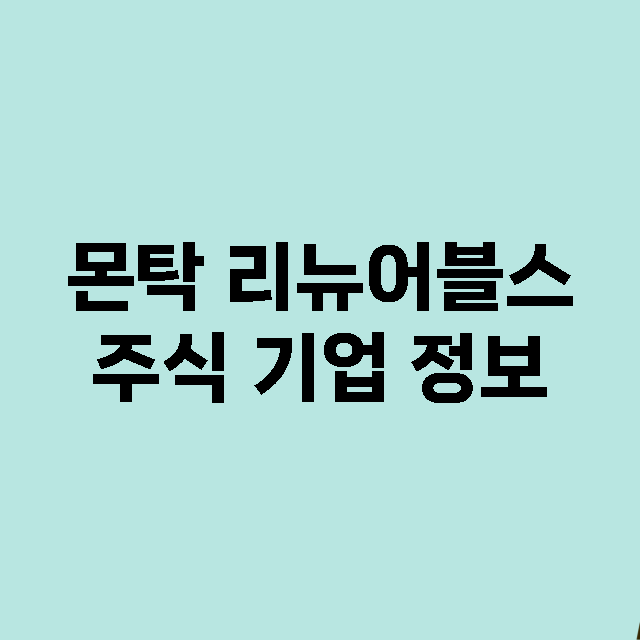 몬탁 리뉴어블스 주…