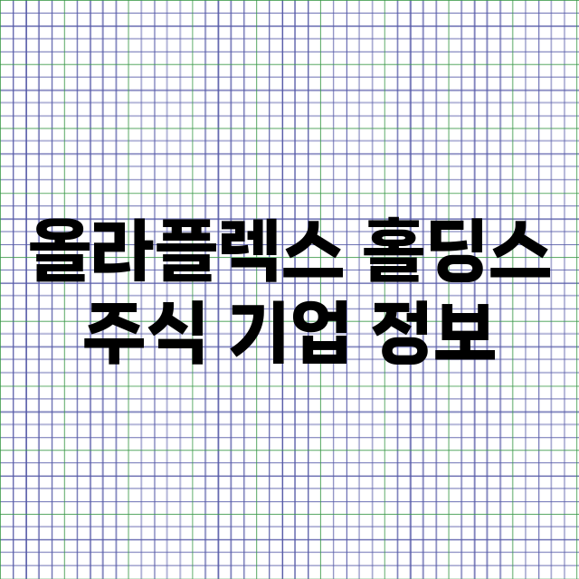 올라플렉스 홀딩스 기업 총정리