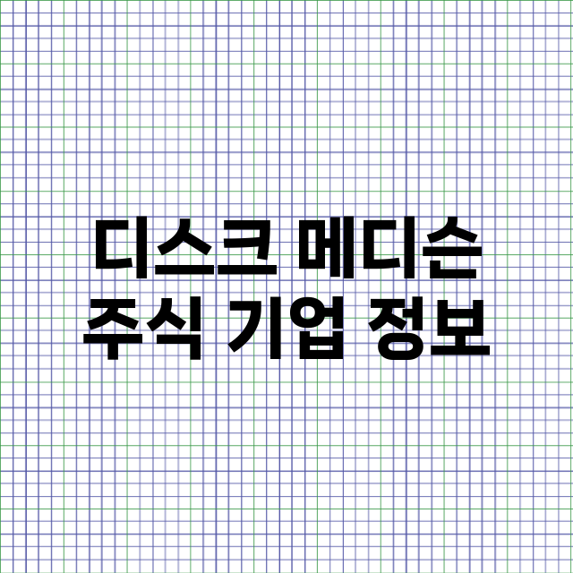 디스크 메디슨 기업 총정리