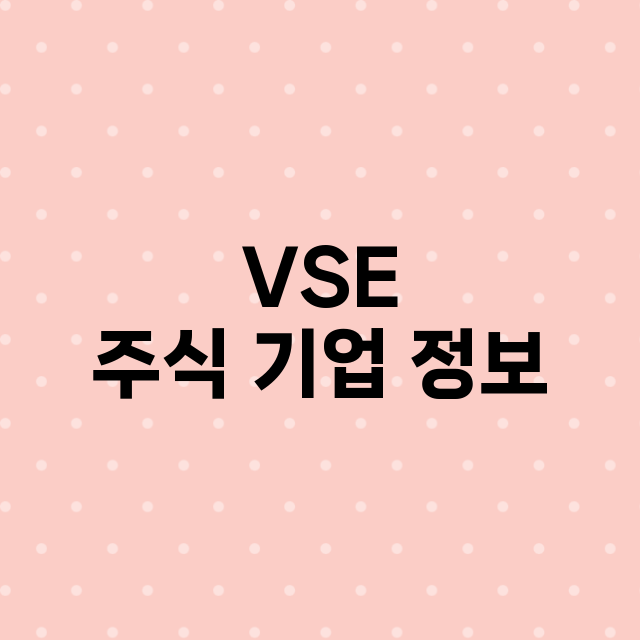 VSE 주식 기업 …