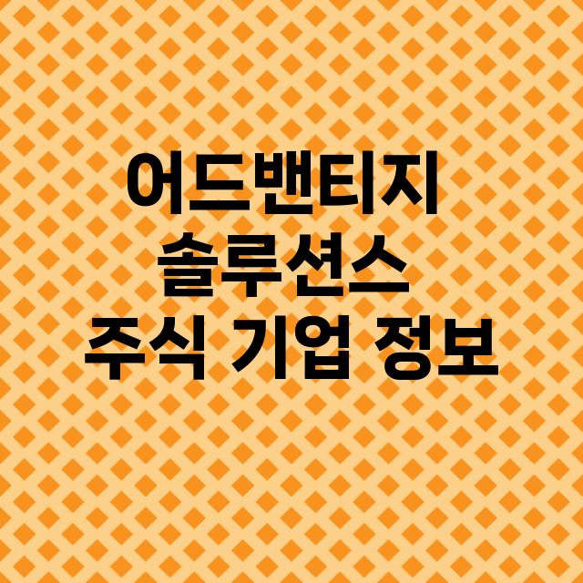 어드밴티지 솔루션스 기업 총정리