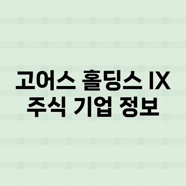 고어스 홀딩스 IX…