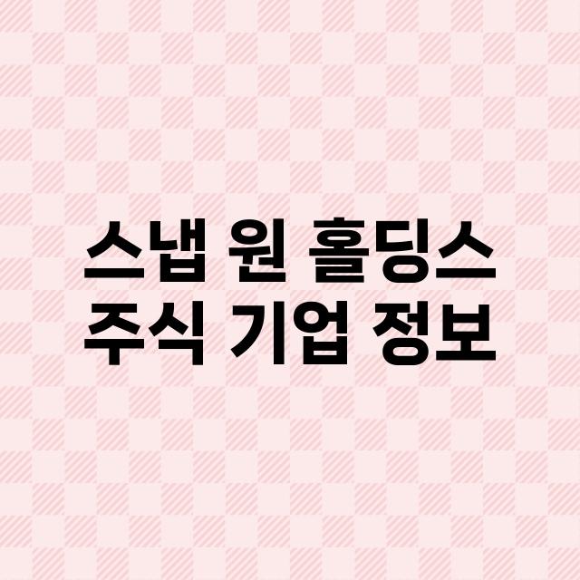 스냅 원 홀딩스 주…