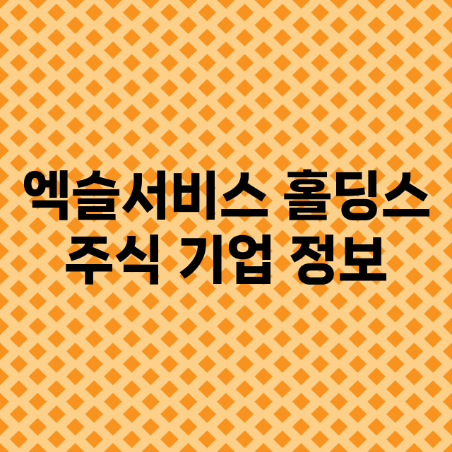 엑슬서비스 홀딩스 …