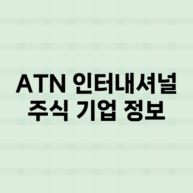 ATN 인터내셔널 기업 총정리