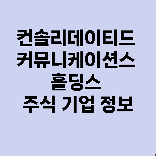 컨솔리데이티드 커뮤니케이션스 홀딩스 기업 총정리