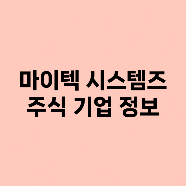 마이텍 시스템즈 기업 총정리