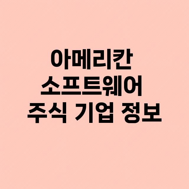 아메리칸 소프트웨어 기업 총정리