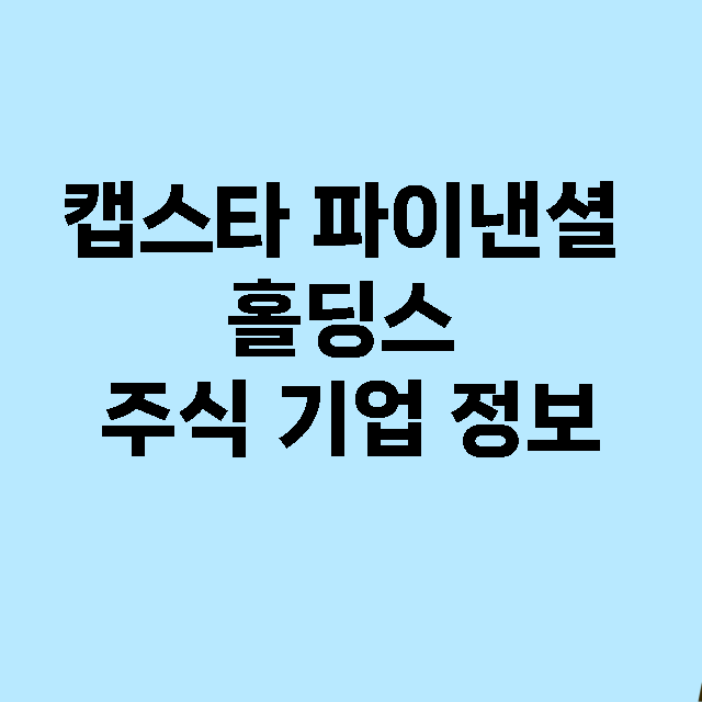 캡스타 파이낸셜 홀…