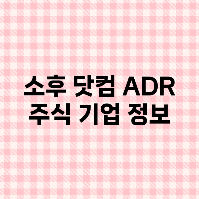 소후 닷컴 ADR 기업 총정리