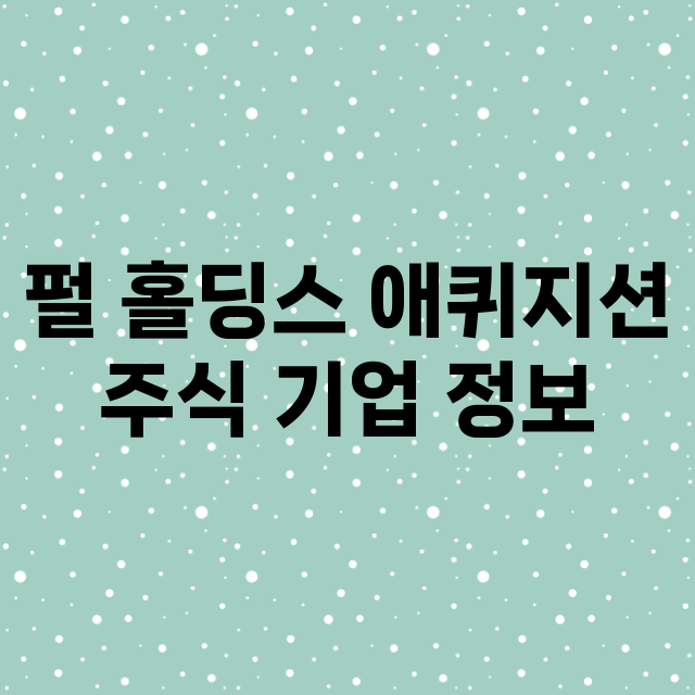 펄 홀딩스 애퀴지션 기업 총정리