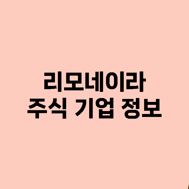 리모네이라 기업 총정리