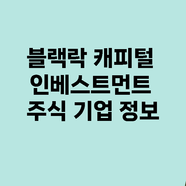 블랙락 캐피털 인베스트먼트 기업 총정리