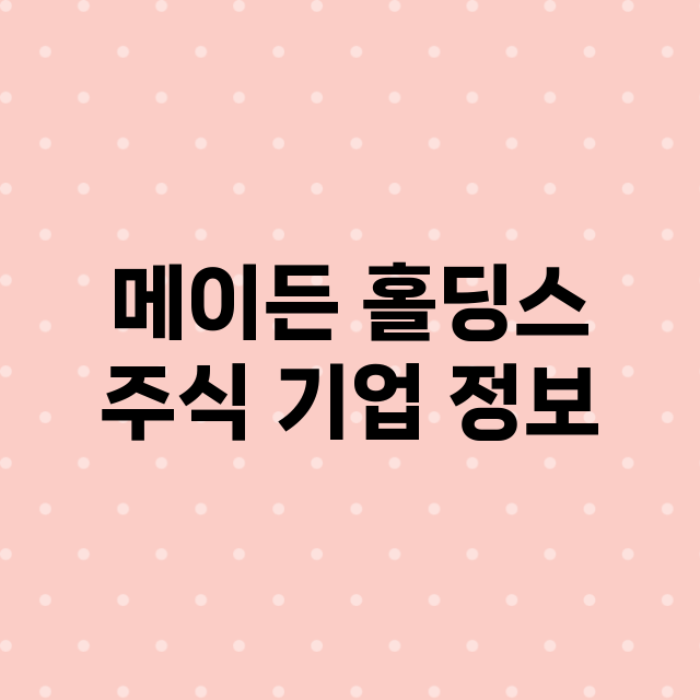 메이든 홀딩스 기업 총정리