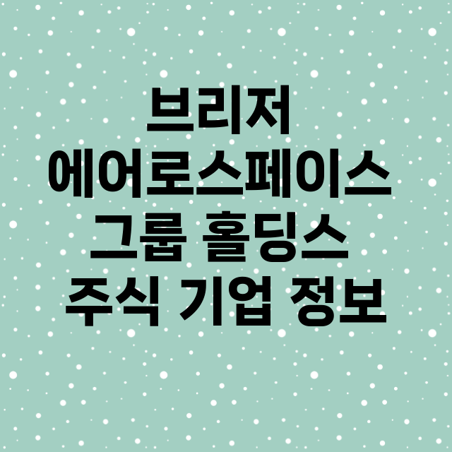 브리저 에어로스페이스 그룹 홀딩스 기업 총정리