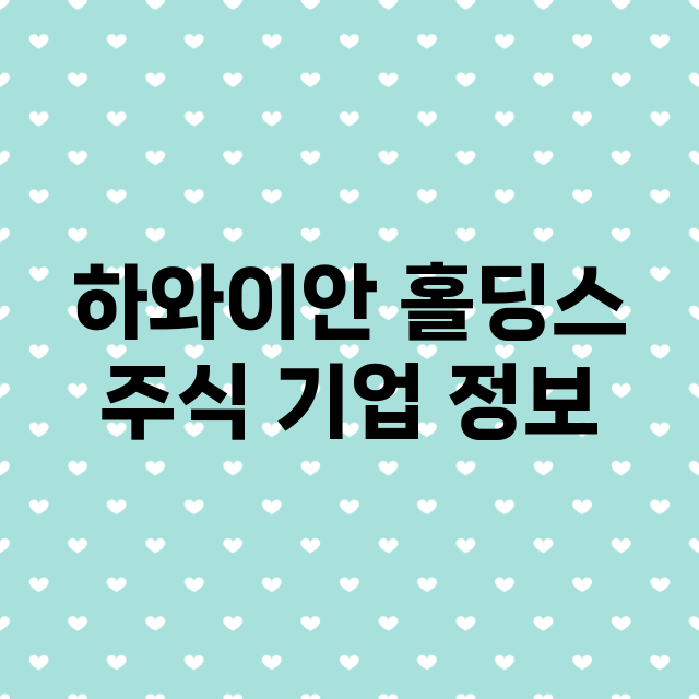 하와이안 홀딩스 기업 총정리