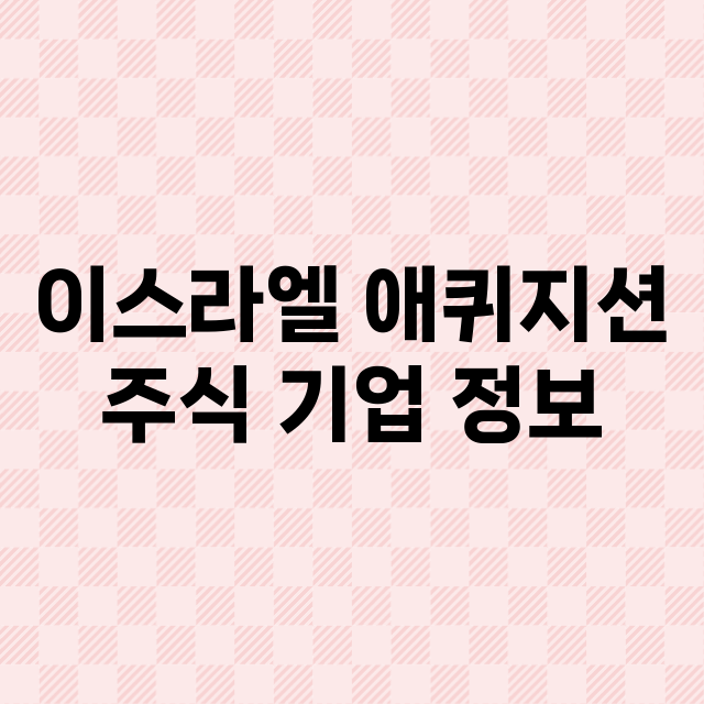 이스라엘 애퀴지션 기업 총정리