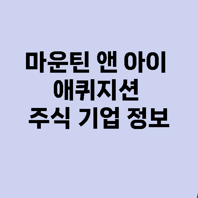 마운틴 앤 아이 애퀴지션 기업 총정리