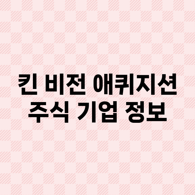 킨 비전 애퀴지션 기업 총정리