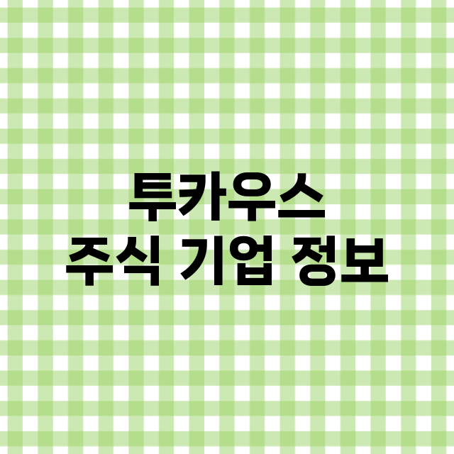 투카우스 기업 총정리