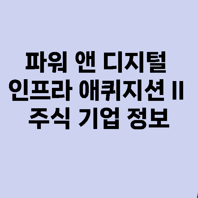 파워 앤 디지털 인프라 애퀴지션 II 기업 총정리