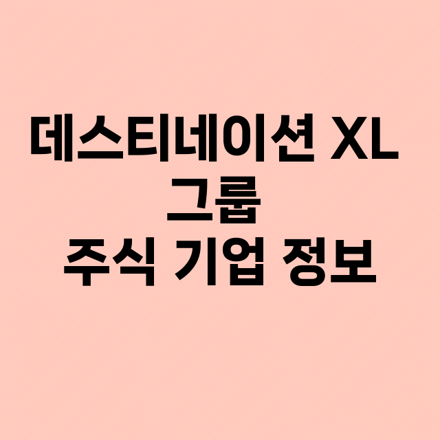 데스티네이션 XL 그룹 기업 총정리