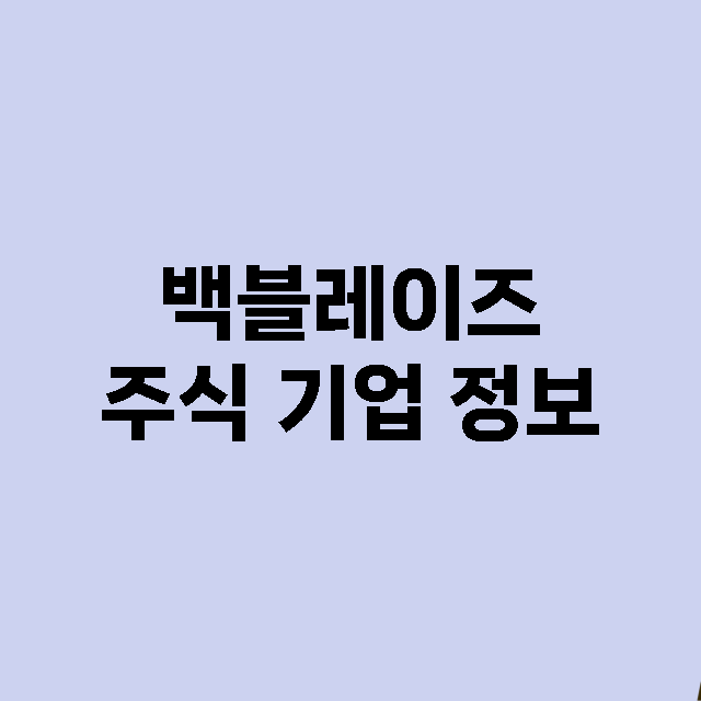 백블레이즈 기업 총정리